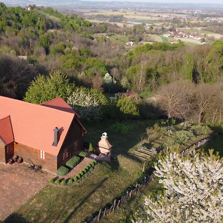 Kuca Za Odmor Stara Hiza Villa Selnica Exteriör bild