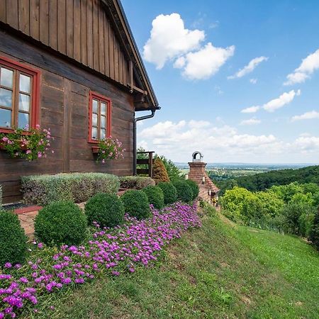 Kuca Za Odmor Stara Hiza Villa Selnica Exteriör bild