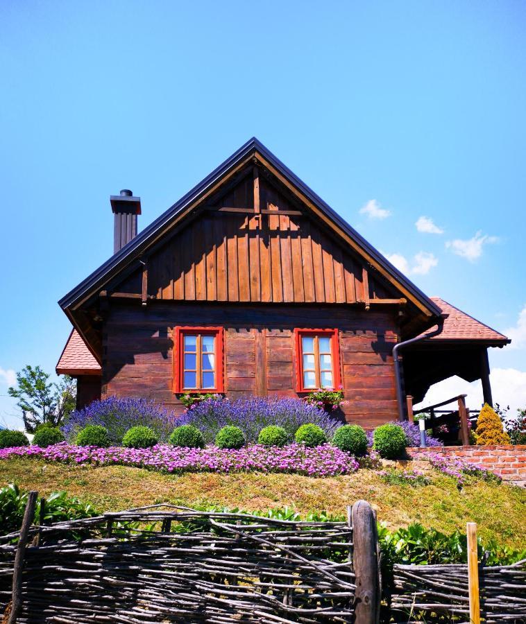 Kuca Za Odmor Stara Hiza Villa Selnica Exteriör bild