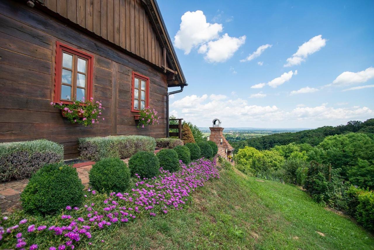 Kuca Za Odmor Stara Hiza Villa Selnica Exteriör bild
